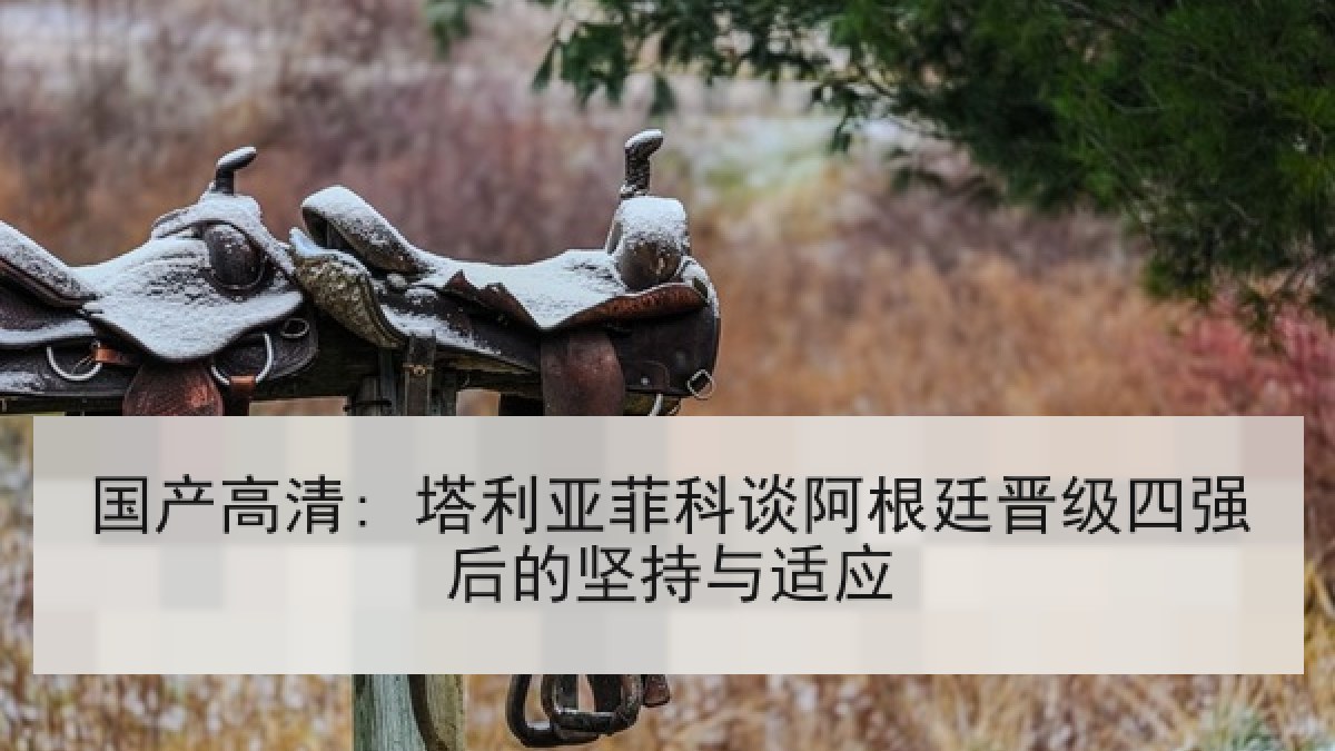 国产高清: 塔利亚菲科谈阿根廷晋级四强后的坚持与适应