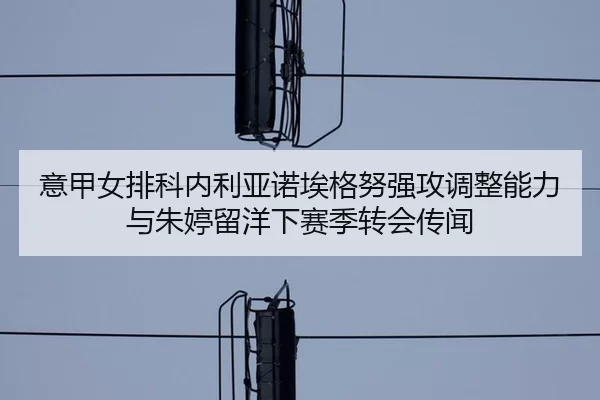 yi-jia-nv-pai-ke-nei-li-ya-nuo-ai-ge-nu-qiang-gong-tiao-zheng-neng-li-yu-zhu-ting-liu-yang-xia-sai-ji-zhuan-hui-chuan-2-958.jpg